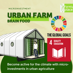 FP SDG 4 Insta posts 1024x1024(English)