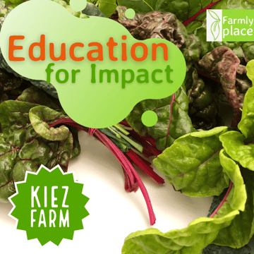 education for impact 1024x1024_1