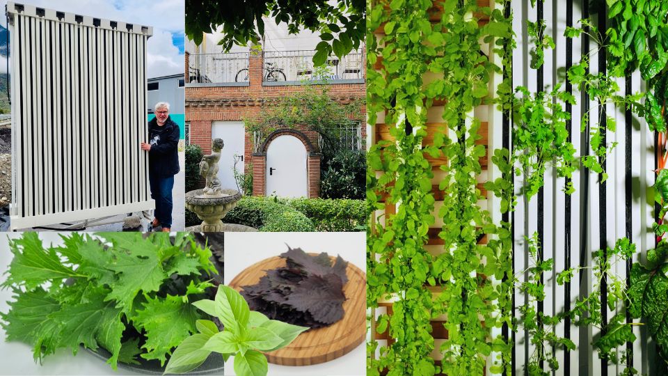 Die Indoor Farming Optionen im Überblick Die Indoor Farming Optionen im Überblick